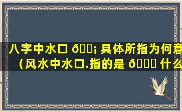 八字中水口 🐡 具体所指为何意（风水中水口.指的是 🐝 什么意思）